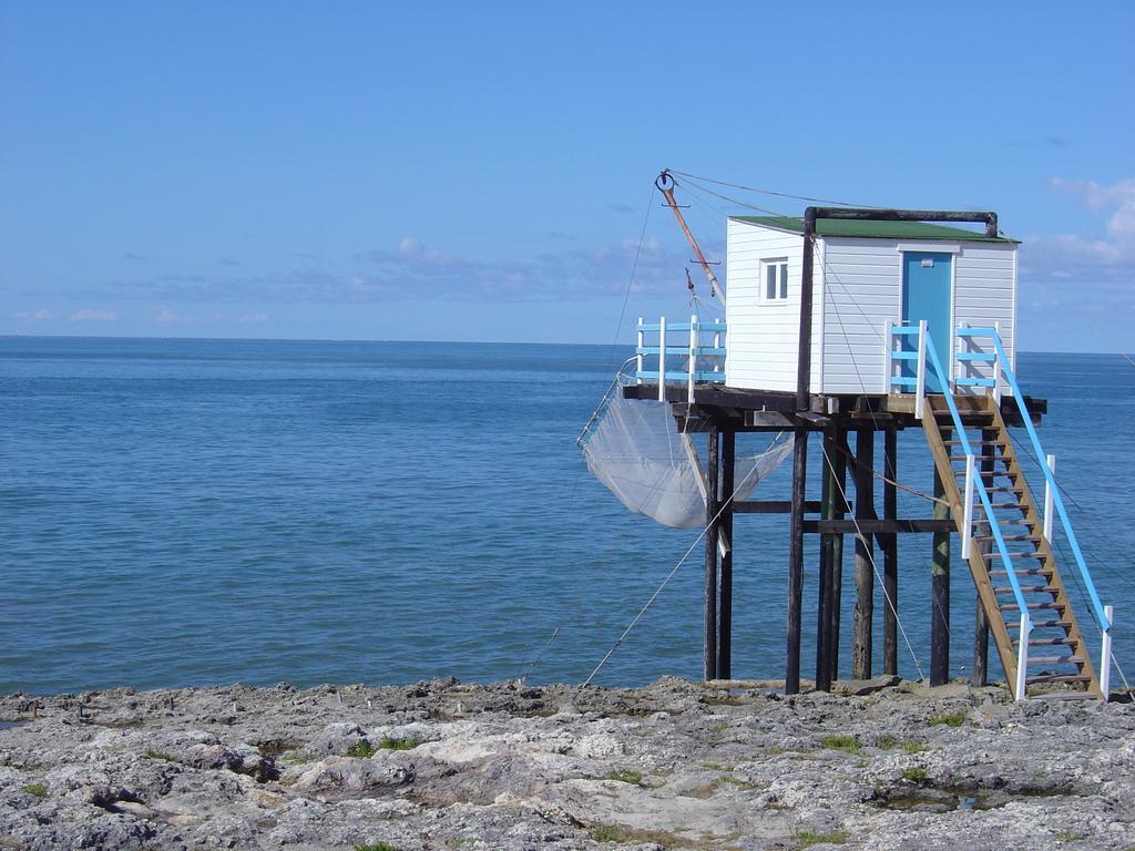 Netmust Vacances Saint-Palais-sur-Mer Eksteriør billede